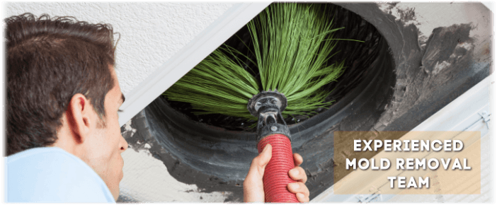 Air Duct Mold Removal in Hammond IN
